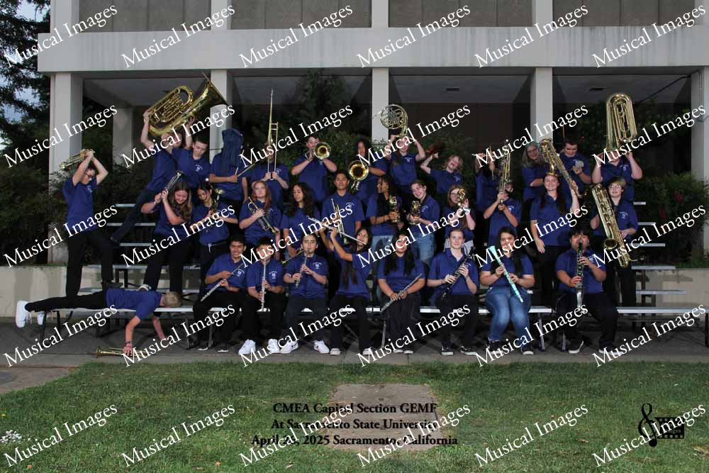 Musical Images